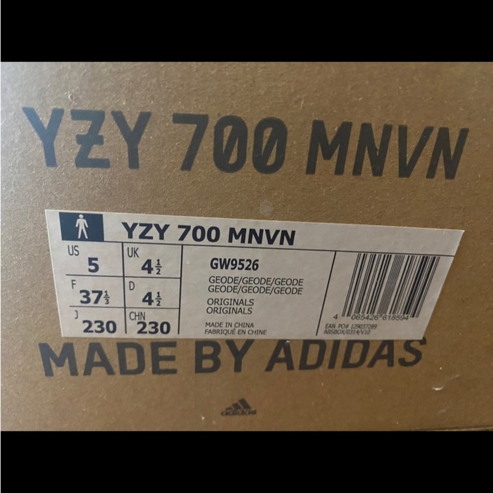 Yeezy Geode 700